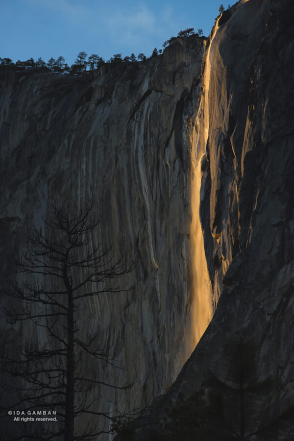 Golden Firefall - Horsetaiil Fall | Yosemite NP by Ida Gamban