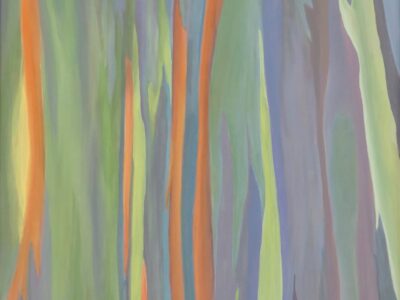 Rainbow Bark Four by Jacqueline Wender