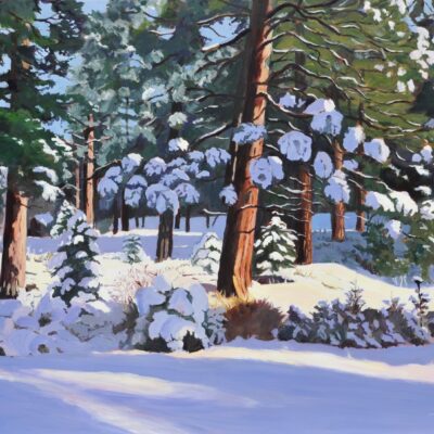 Snow in the Forest by Doriane Heyman