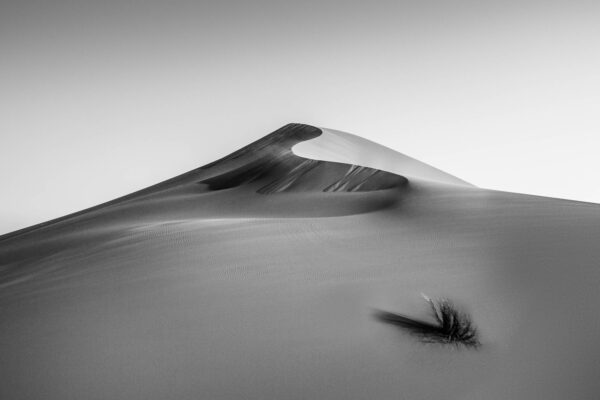 Sahara Dune by Fred Aron