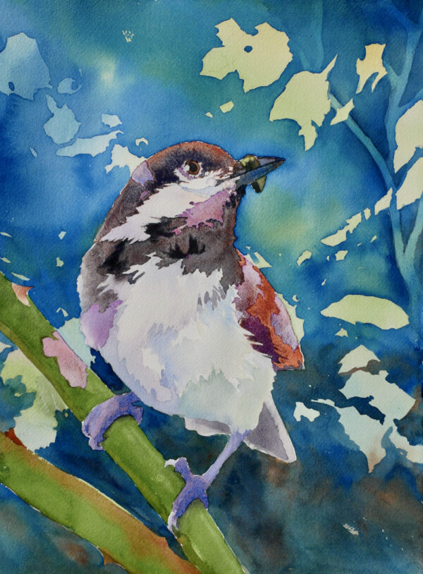 Chickadee Dinner by Susan Butler-Graham