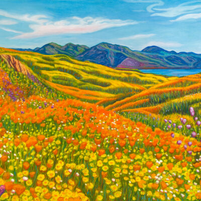 Wildflower Superbloom by Lynn Jaye