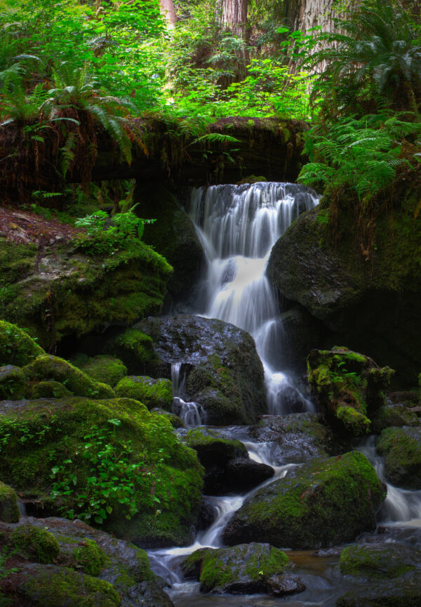 Trillium Falls by Paul Hastings