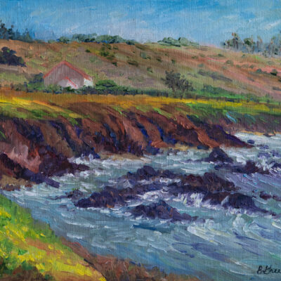 View from Pigeon Point Lighthouse by Barbara Greensweig