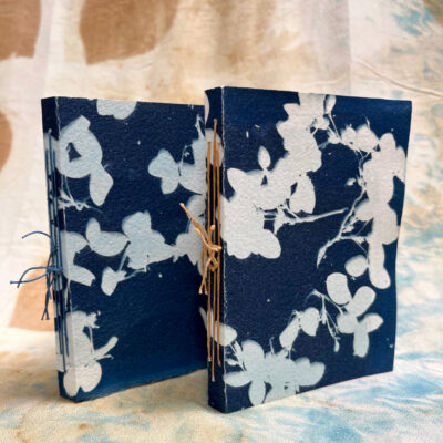 Cyanotype Handmade Books by Kim Meuli Brown