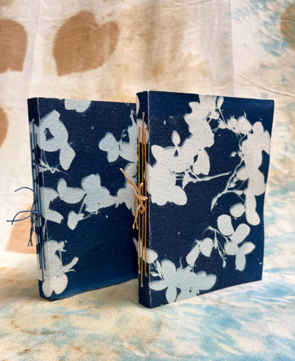 Cyanotype Handmade Books by Kim Meuli Brown