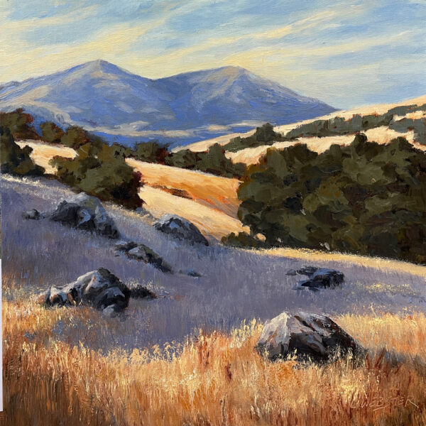 Mt. Diablo on the Rocks by LaRhee Webster