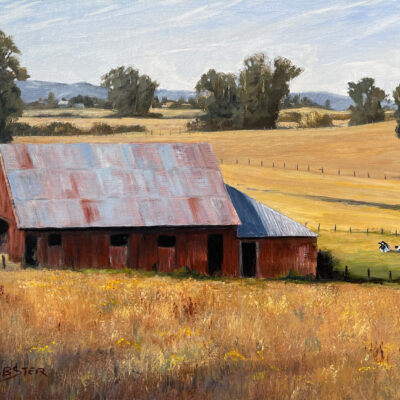 Petaluma Barn by LaRhee Webster