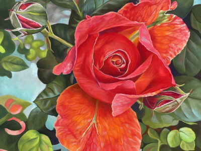 Fire and Ice by Deborah Shea