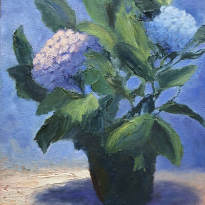 Potted Hydrangeas by Patricia Jones