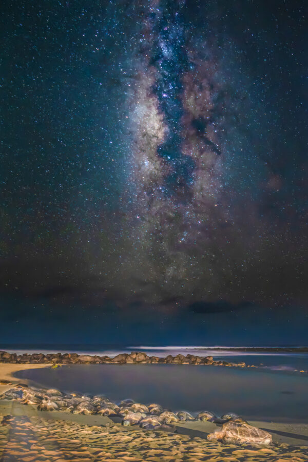 Green Sea Turtles under Milky Way by Alan Hart