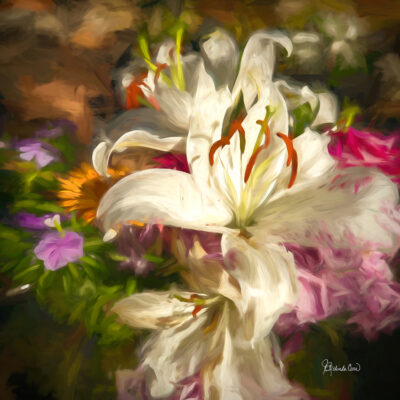 Festival of Lilies by J Belinda Carr