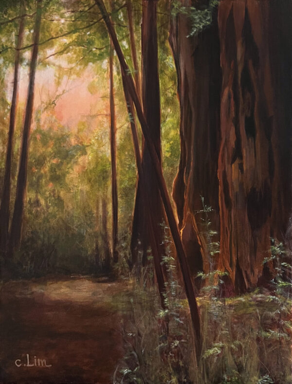 Redwoods Glow No. 4 by Christina Lim