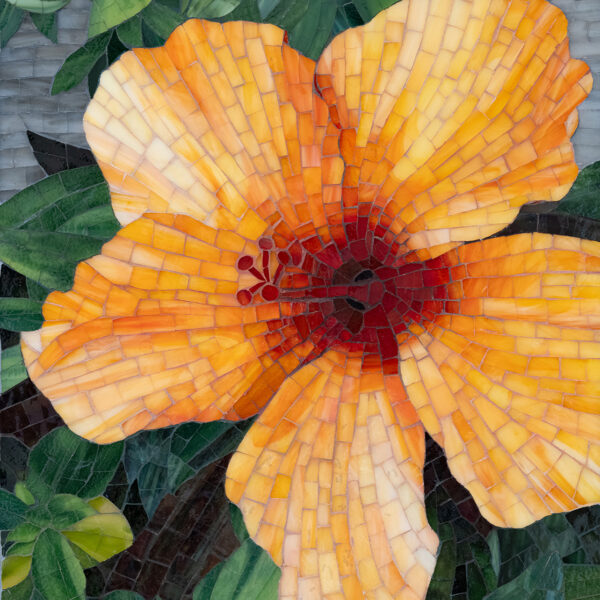 Hibiscus by Jennifer Kelley