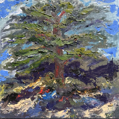 Cypress Tree by Denis Shaw