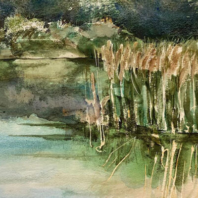 Rushes in the Lake by Pat Johnson