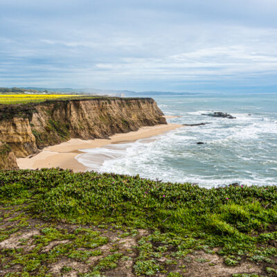 Spring on the Coast by Barbara Masek