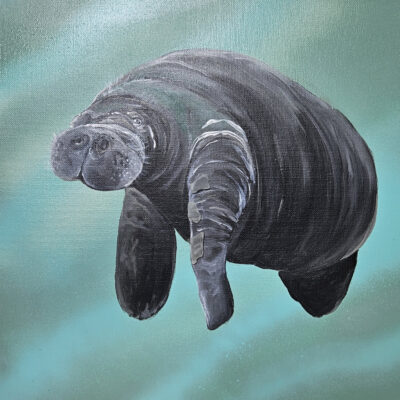 Mister Manatee by Jo Fry