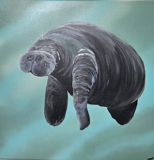 Mister Manatee by Jo Fry