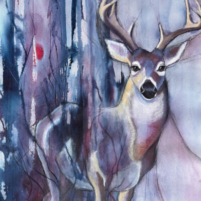 Emerging Buck by Amy Rattner