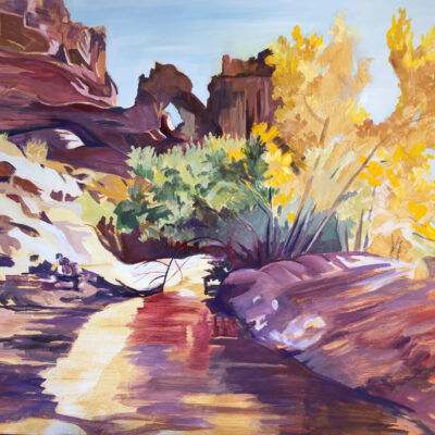 Canyon de Chelley by Linda Curtis