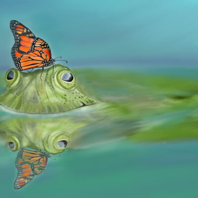 Frog Butterfly Funny Friendship by Anne DeGheest