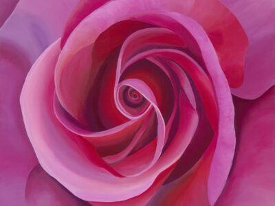 Rose Elegance by Renee Switkes