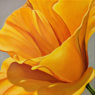 California Poppy - Keep Hope Alive by Renee Switkes