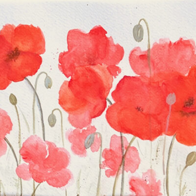 Red Poppies by Silpa Baby