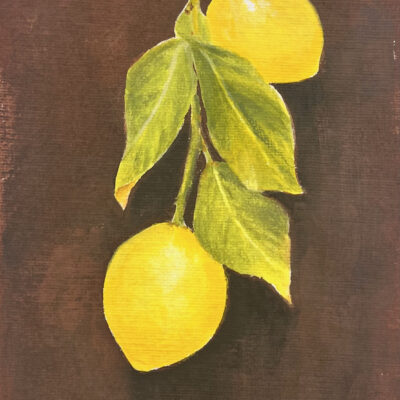 Les Limones by Silpa Baby