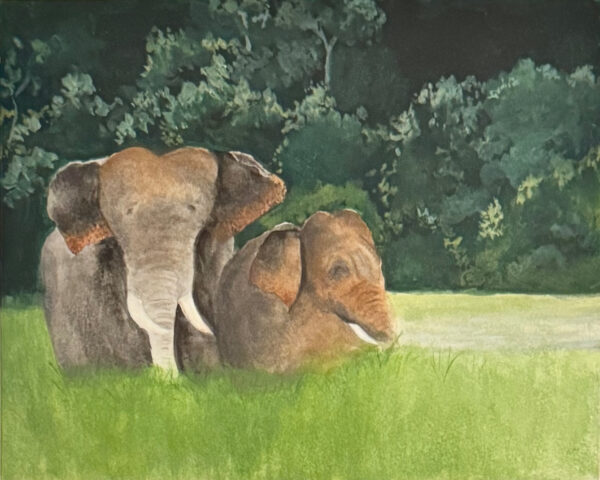 Elephants by Silpa Baby