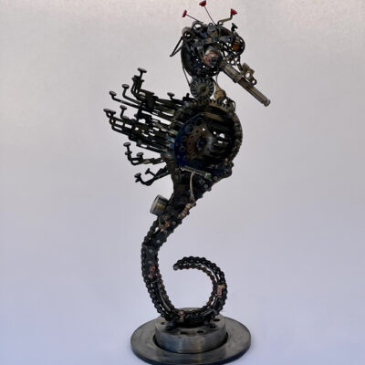 Seahorse by Michael Foster