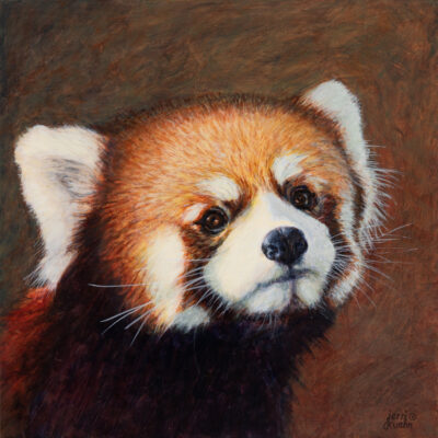 Fire Fox of Bamboo Forest (red panda) $750.00 by Jerri Kuehn