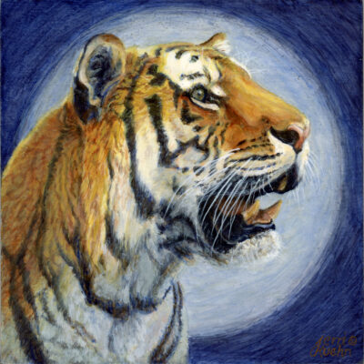 Tiger Awareness $250.00 by Jerri Kuehn