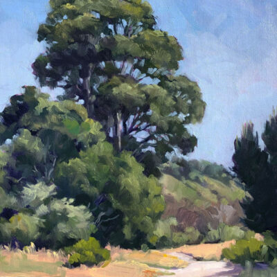 Fort Ord Eucalyptus by Julia Seelos