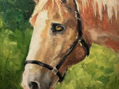 Palomino Old Soul by Julia Seelos