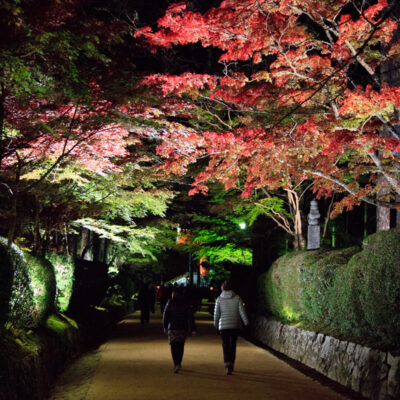 Koyosan at Night by Stephen Toll