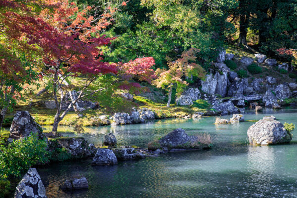 Arashiyama Park by Stephen Toll