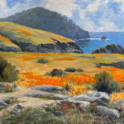 Poppies and Paintbrushes at Point Lobos by LaRhee Webster