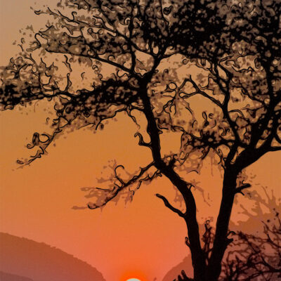 Londolozi Sunrise Abstract by Larry Salveson