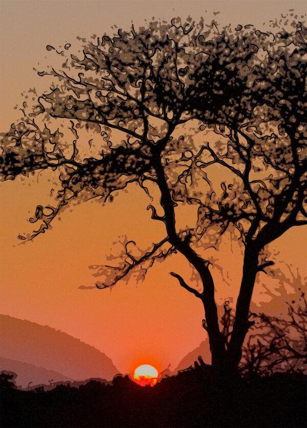 Londolozi Sunrise Abstract by Larry Salveson