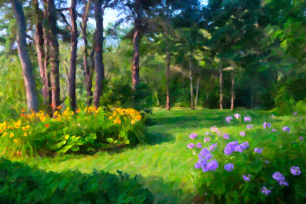 Wellfleet Garden by Larry Salveson