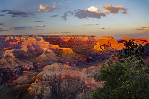 Yavapai Point