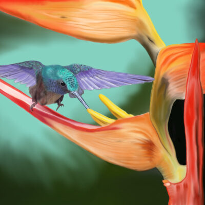 Hummingbird by Anne DeGheest