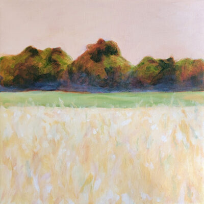 Summer Field by Claire Whitehead