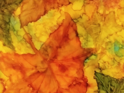 Colors of Fall by Kathleen J Borgman