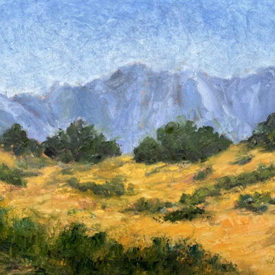 California Hills by Patricia Jones