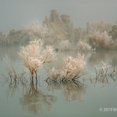 Moody and Mysterious Mono Lake by Bruce Finocchio