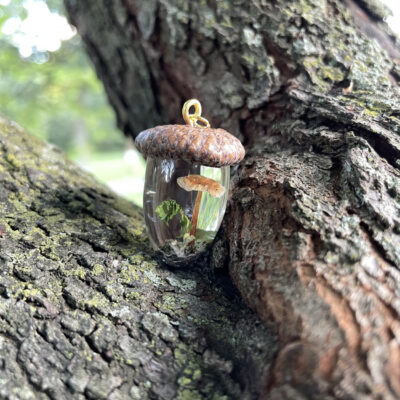 Acorn pendant made with real mushrooms and acorn c by Melody Weber