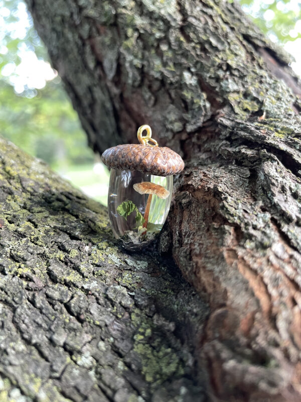 Acorn pendant made with real mushrooms and acorn c by Melody Weber